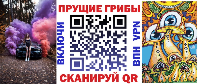 кракен как зайти  Судогда  Галлюциногенные грибы Psilocybe 